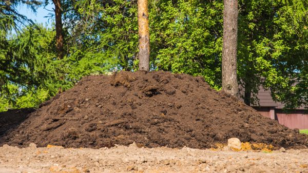 Cost of Dirt Installation in Antioch