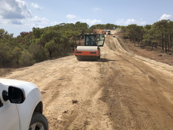 Cost of Driveway Grading in Antioch
