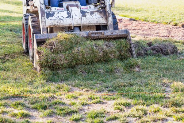 Cost of Landscape Leveling in Antioch
