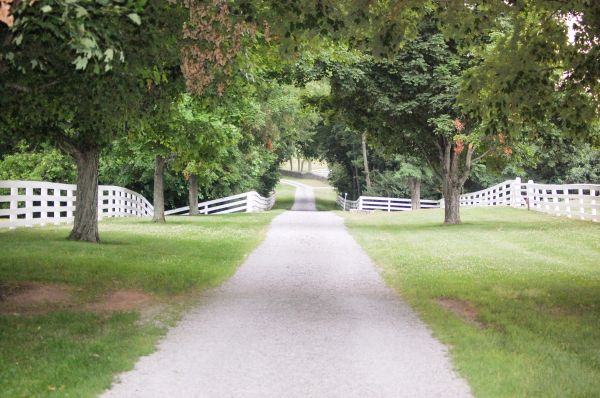 Cost of Gravel Road Installation in Antioch
