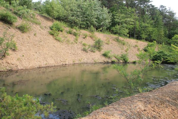 Cost of Pond Erosion Repair in Antioch