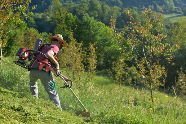 Cost of Slope Trimming in Antioch